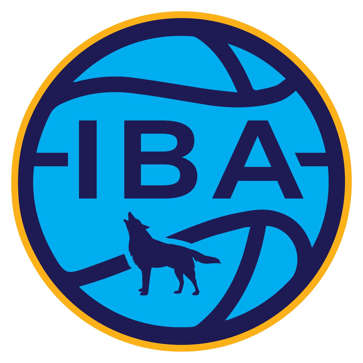 Core values, target athletes, and the IBA program map